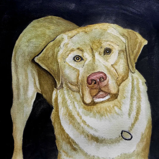 Seeing the World Differently: Cathy Dement's Artistic Vision