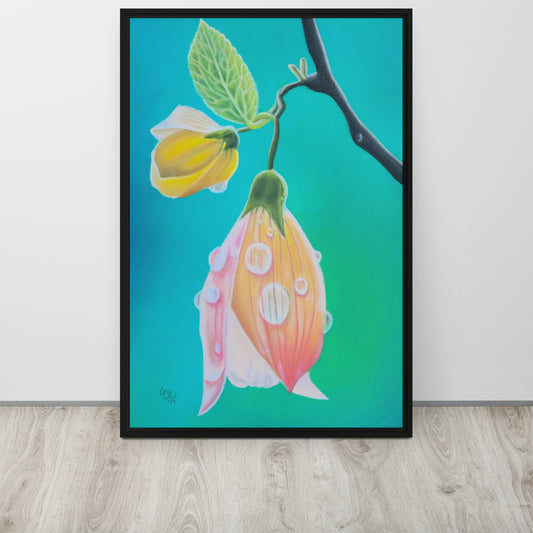Framed Canvas Print - Tickled Pink - Colorful Abutilon Flower Artwork by Cathy Dement