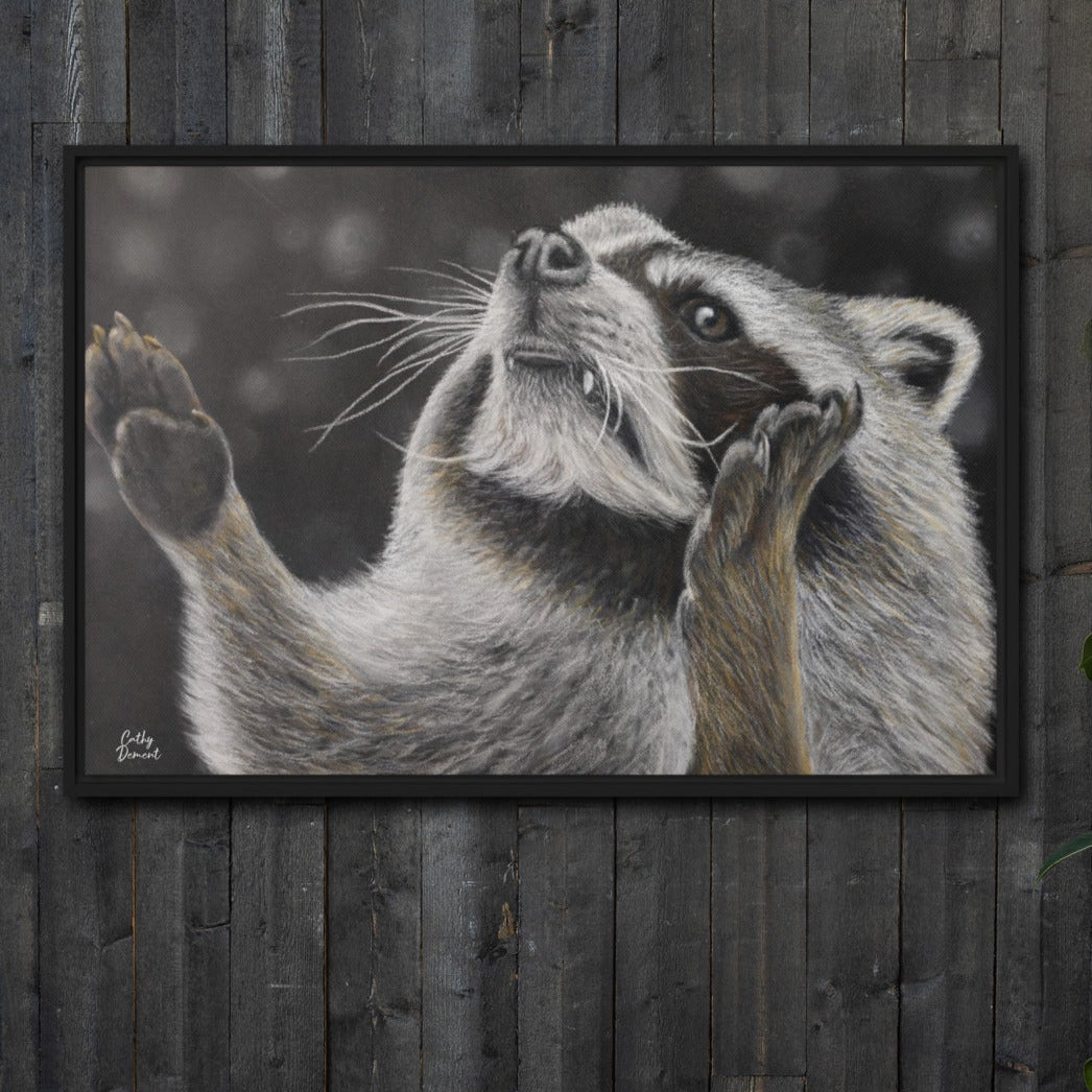 Framed Canvas Print - Catching Snowflakes - Whimsical Raccoon Artwork by Cathy Dement