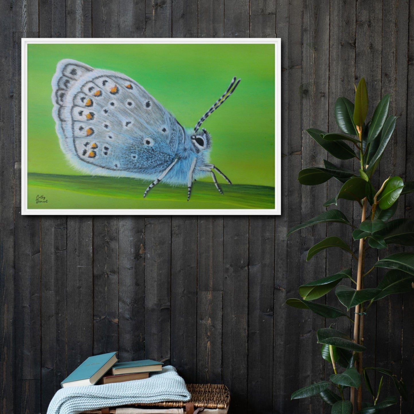 Framed Canvas Print - Gossamer Blue - Karner Blue Butterfly Artwork by Cathy Dement