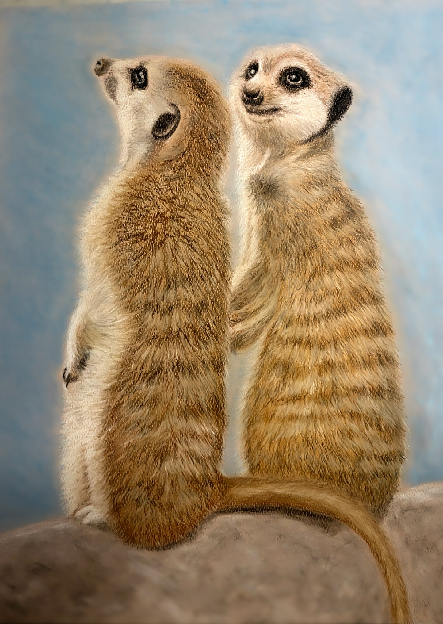 Curious Guardians: Meerkat Duo in Vigilance Original Artwork (available)
