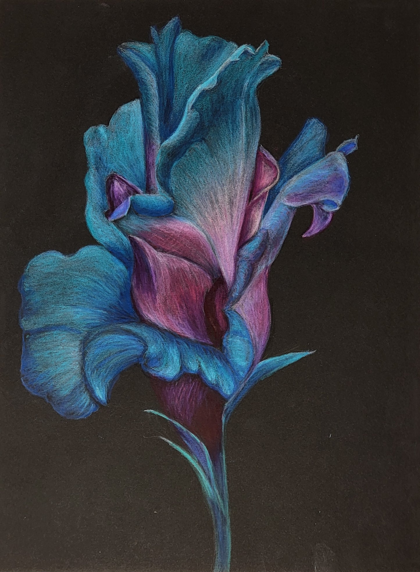 Original Artwork (available) Blossom in the Dark: Colorful Flower