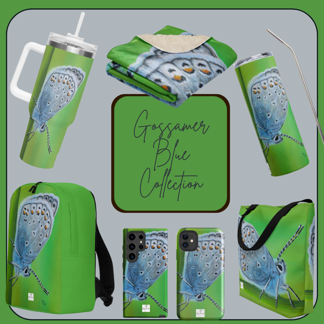 Gossamer Blue Collection