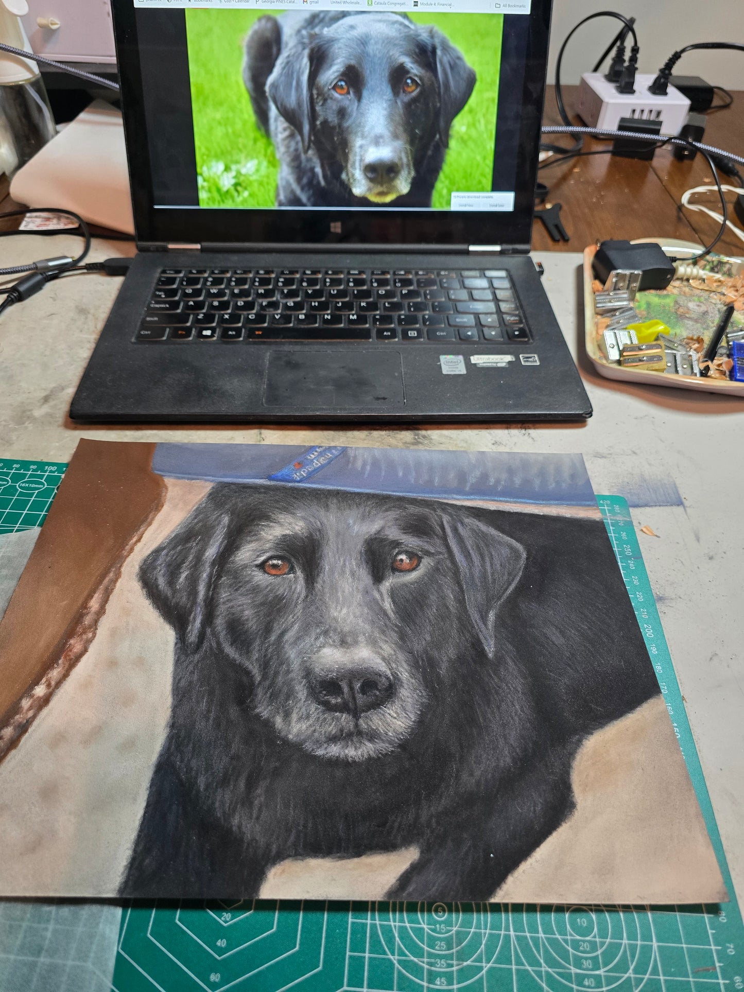 Original Artwork Pet Portrait (sold): Black Lab Mix Pastel Painting