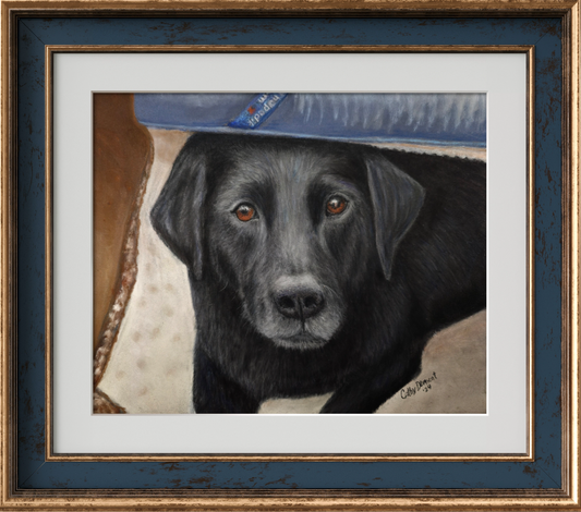 Original Artwork Pet Portrait (sold): Black Lab Mix Pastel Painting