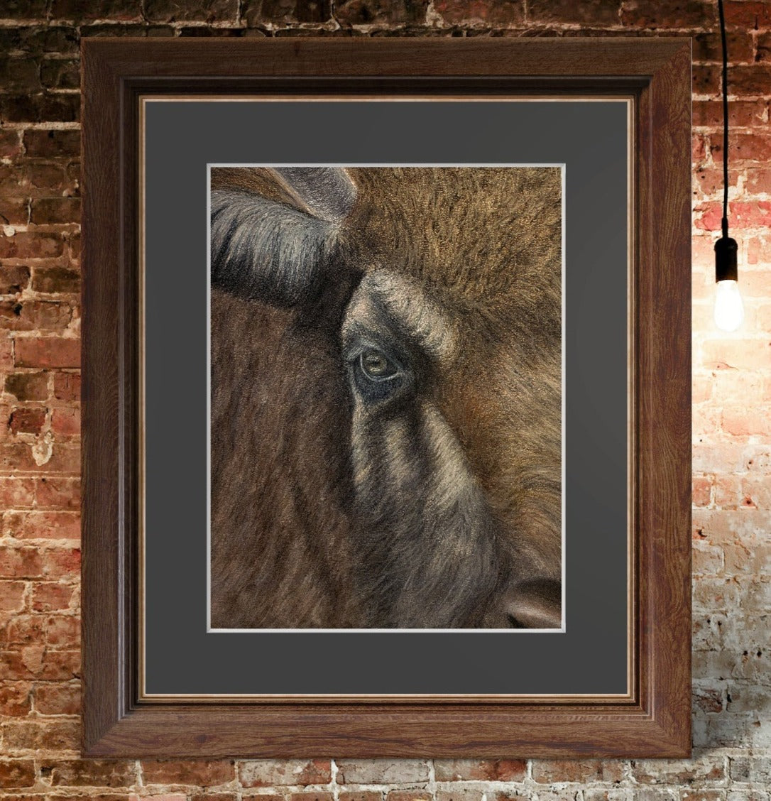 Strength In Serenity: Original Artwork "Bison Close Up" (available)