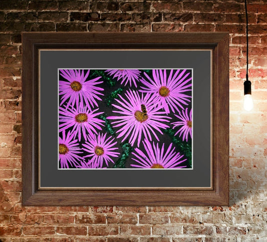 Original Artwork: Purple Flower and Bee Illustration on Black Background (available)