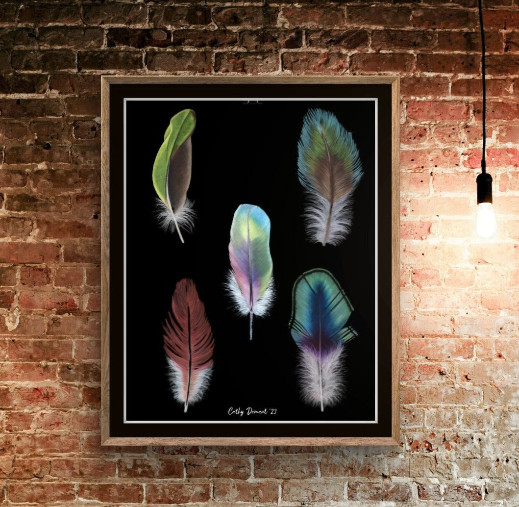 Prismacolor Plumes: Giclée Print of 5 Colorful Feathers