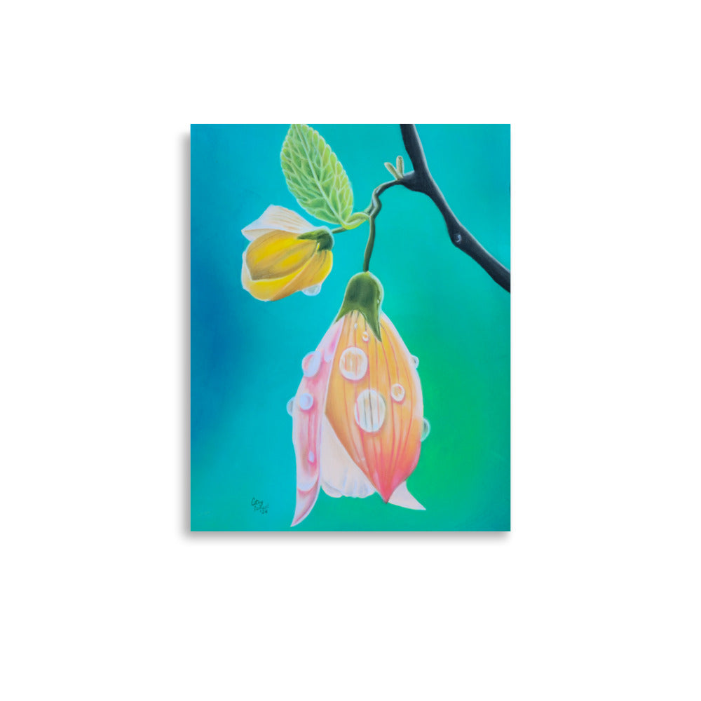 Giclée Print - Tickled Pink, Colorful Abutilon Flower, Floral Wall Art