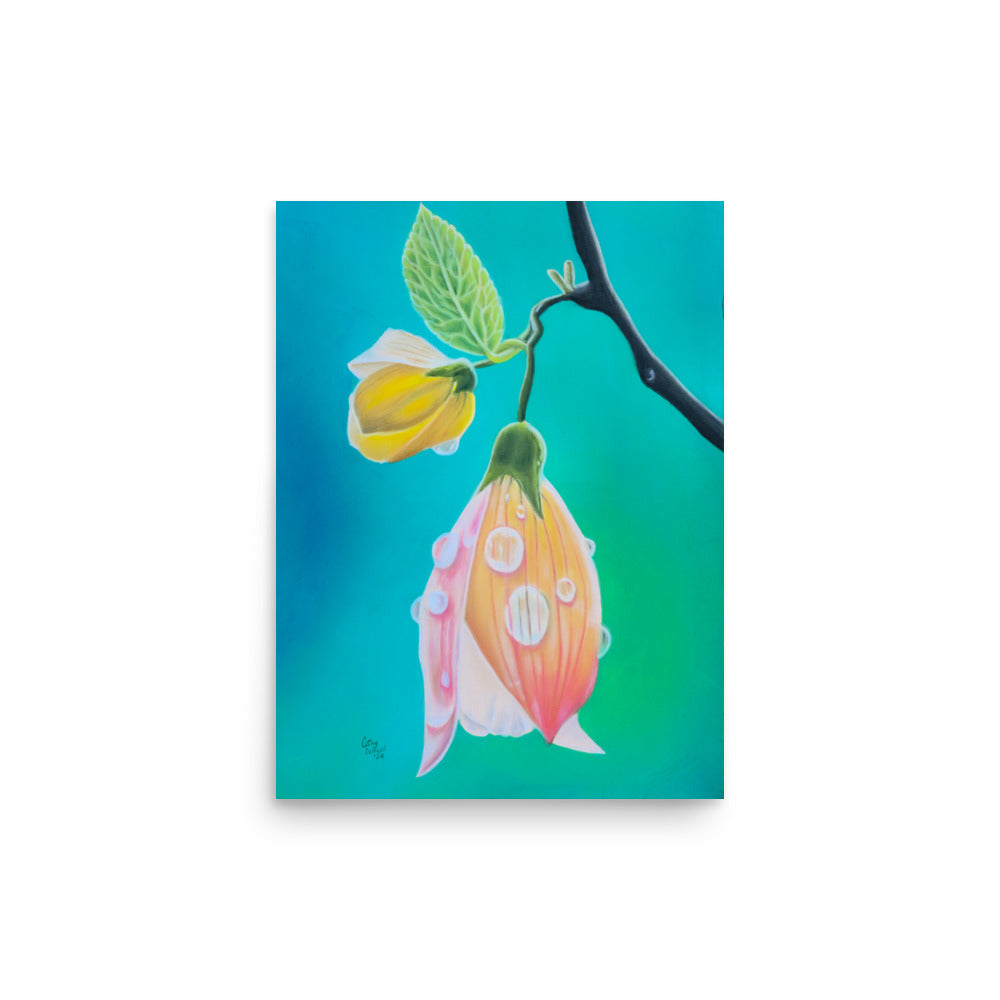 Giclée Print - Tickled Pink, Colorful Abutilon Flower, Floral Wall Art