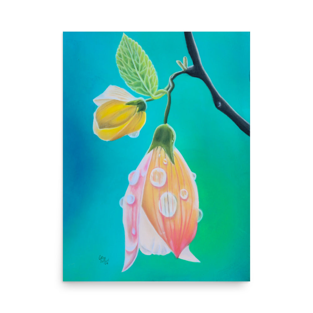 Giclée Print - Tickled Pink, Colorful Abutilon Flower, Floral Wall Art