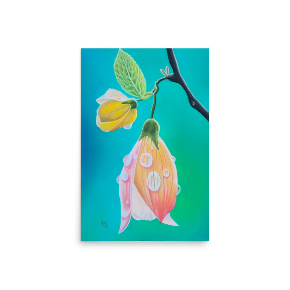 Giclée Print - Tickled Pink, Colorful Abutilon Flower, Floral Wall Art