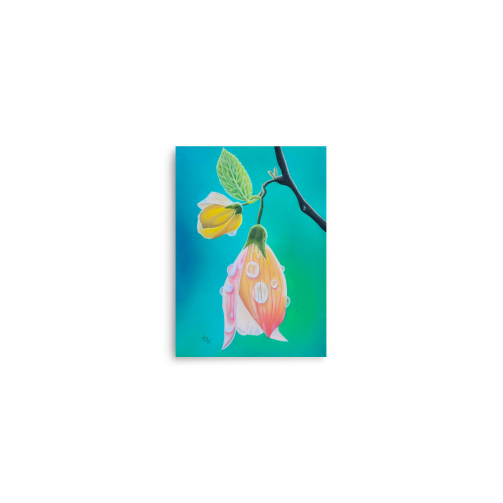 Giclée Print - Tickled Pink, Colorful Abutilon Flower, Floral Wall Art