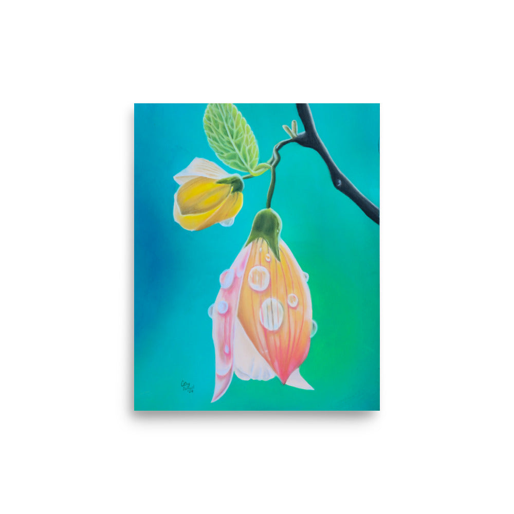 Giclée Print - Tickled Pink, Colorful Abutilon Flower, Floral Wall Art