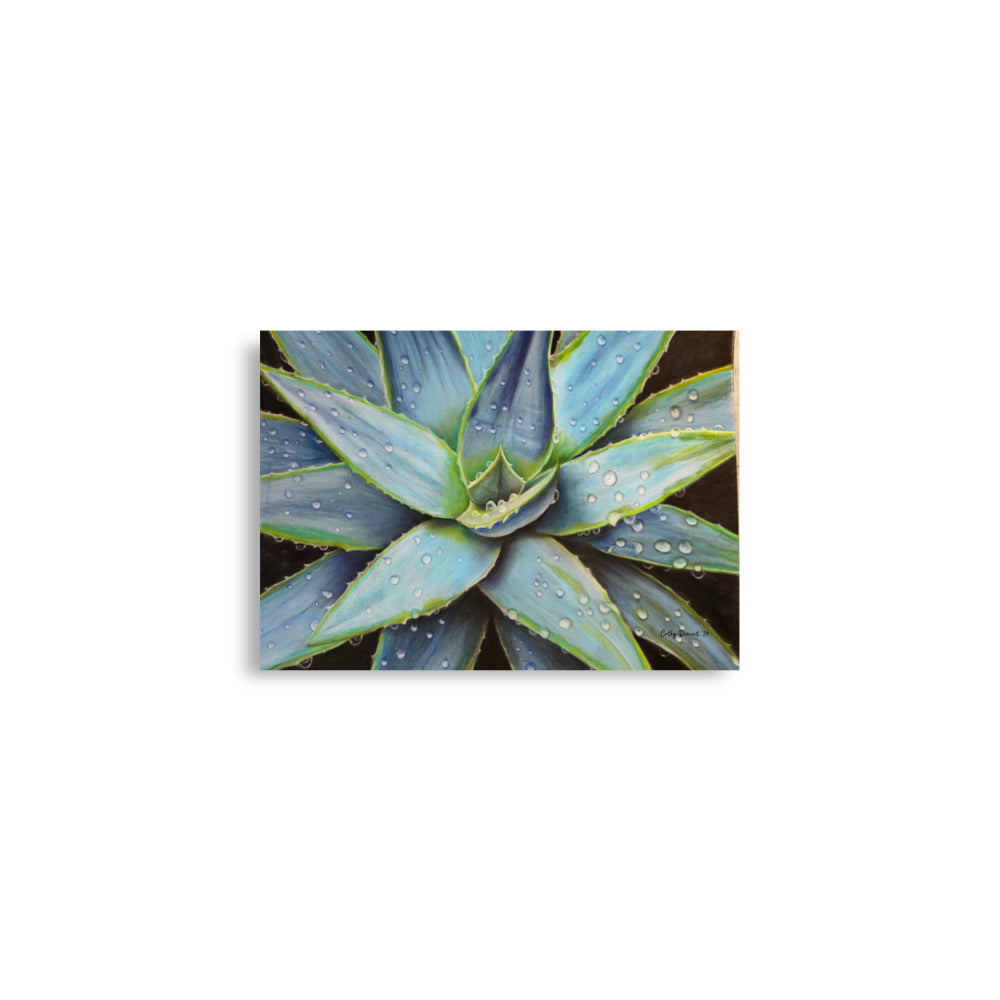 Giclée Print - Desert Jewel - Vibrant Agave Plant with Dew Drops, Artwork by Cathy Dement