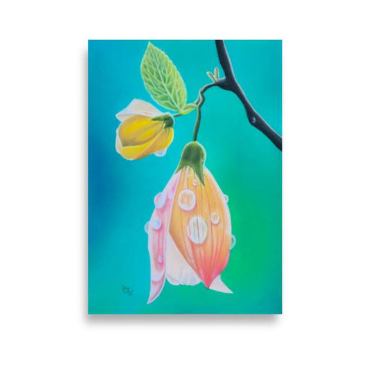 Giclée Print - Tickled Pink, Colorful Abutilon Flower, Floral Wall Art