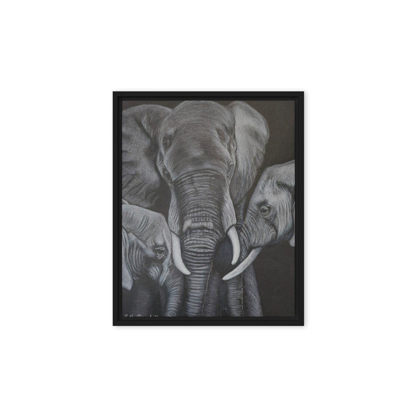 Framed Canvas Print - Strength in Numbers - Monochrome Elephant Family Artwork, Wall Art by Cathy Dement