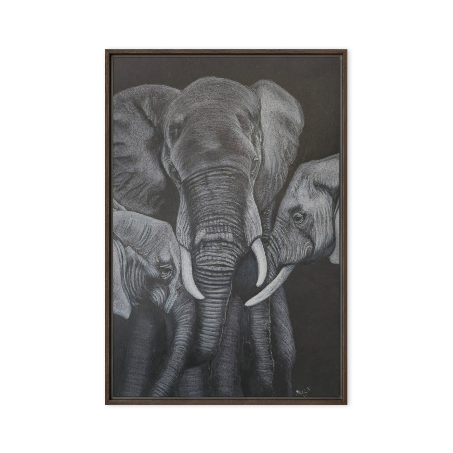 Framed Canvas Print - Strength in Numbers - Monochrome Elephant Family Artwork, Wall Art by Cathy Dement