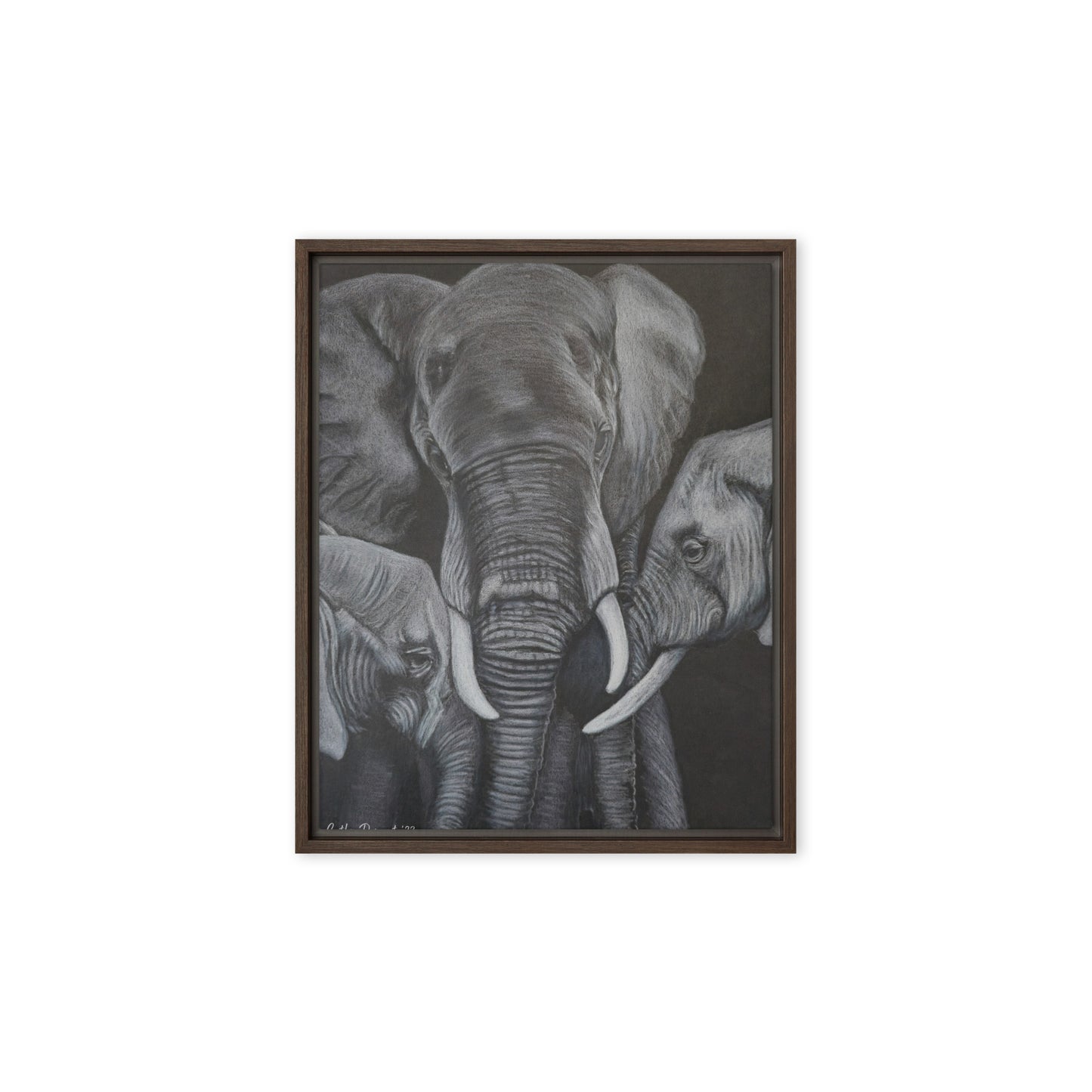 Framed Canvas Print - Strength in Numbers - Monochrome Elephant Family Artwork, Wall Art by Cathy Dement