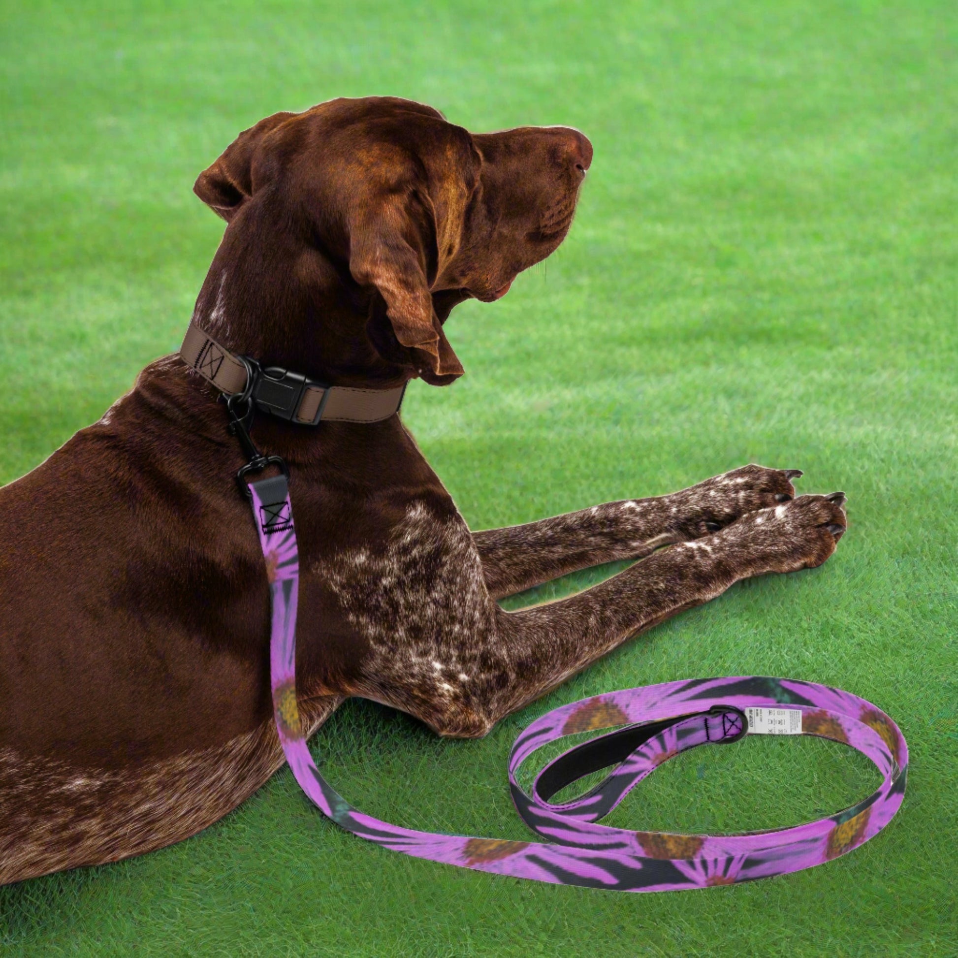 Purple Flower With Bee Pet Dog Leash: Floral Artwork Design by cathy dement