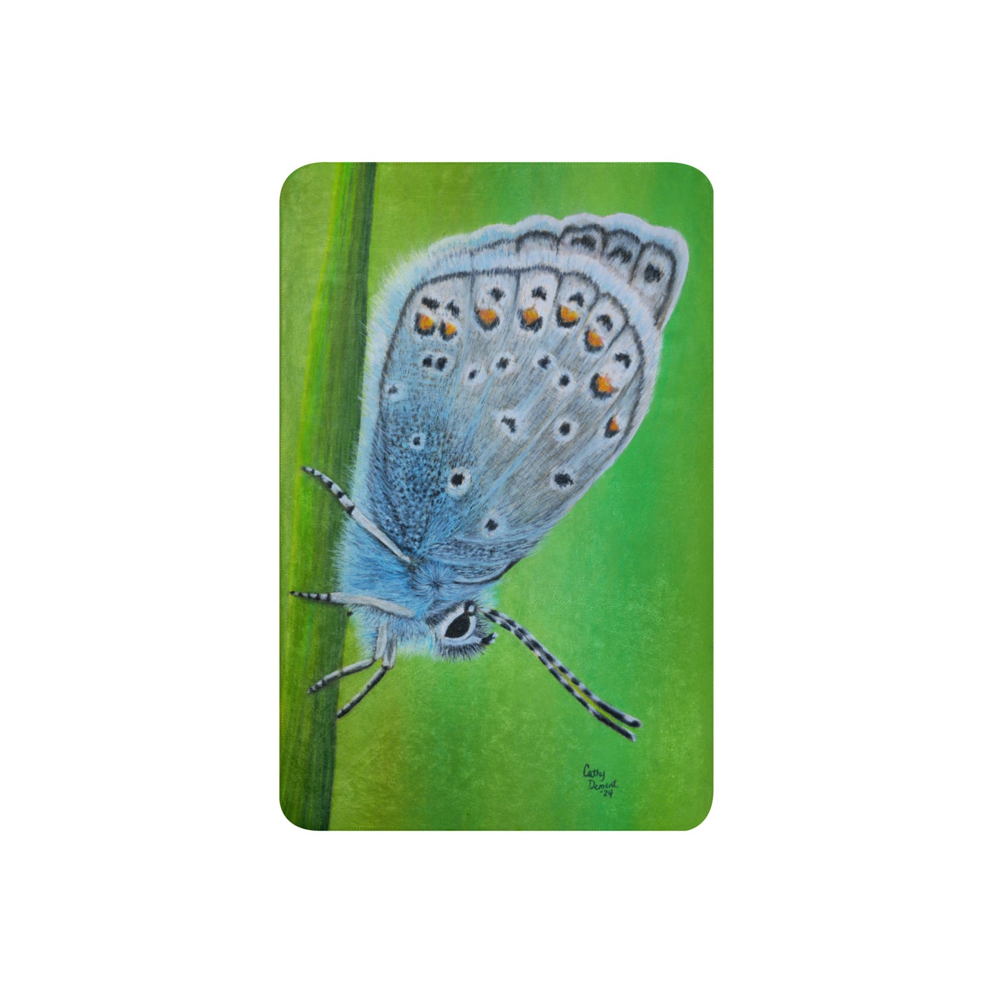 Sherpa Throw Blanket - Gossamer Blue, Karner Blue Butterfly Artwork